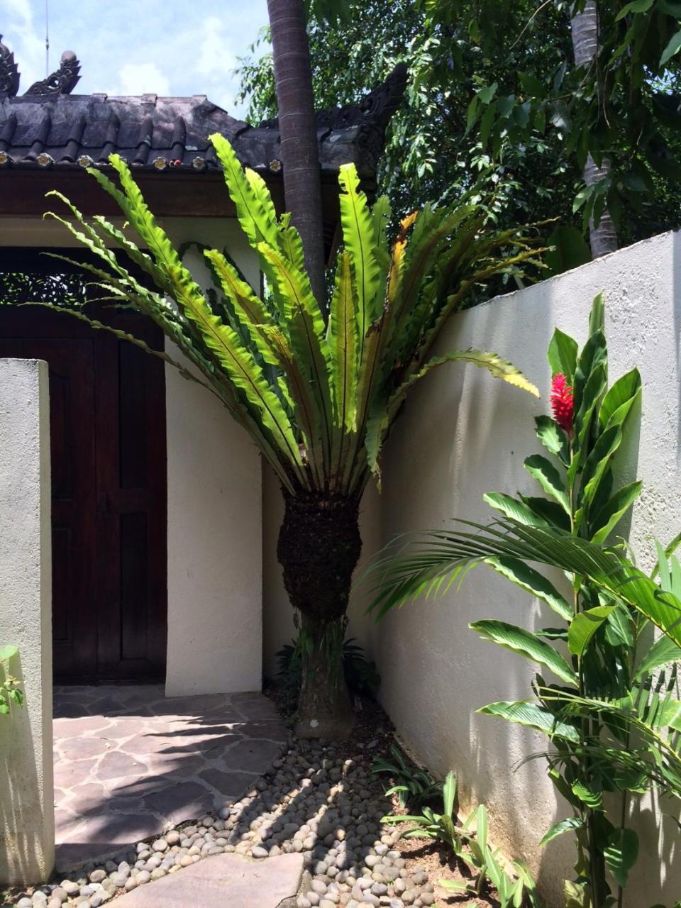 Villa Bulan Mas Ubud Esterno foto
